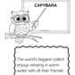 Sample page from Learn Your ABCs with Curious Creatures