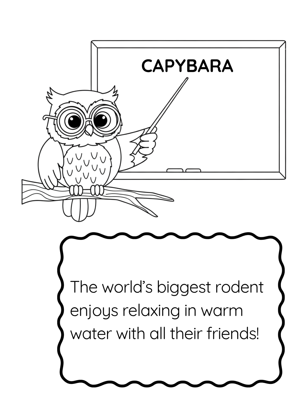 Sample page from Learn Your ABCs with Curious Creatures