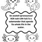 Sample page from the Amazing Axolotls Coloring & Activity Book