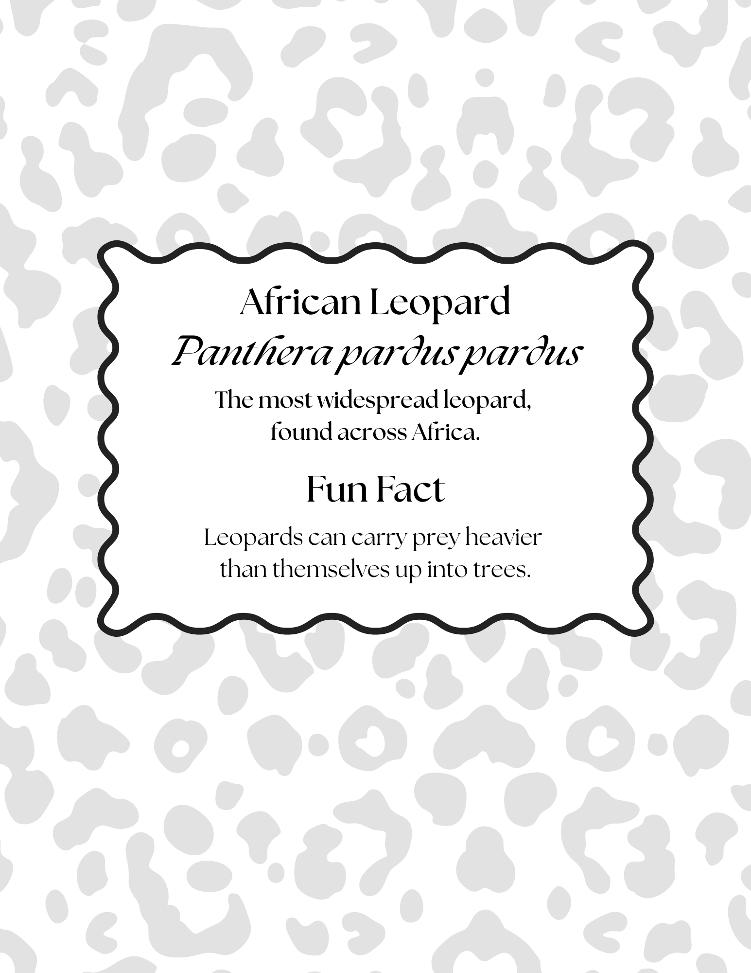 African leopard information page with fun facts