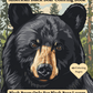 Cover of 'American Black Bear Coloring Book' with a bear illustration and text about coloring pages.