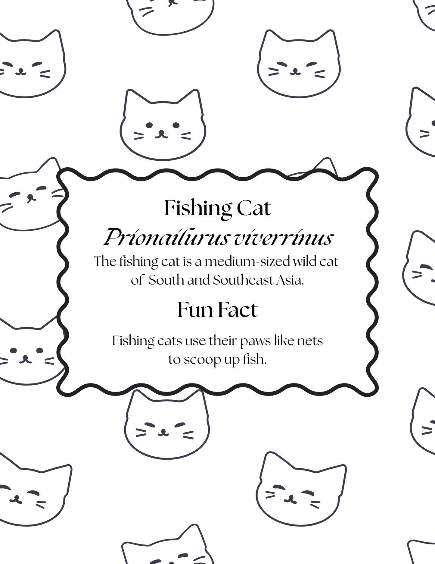 Fishing cat information and fun fact page