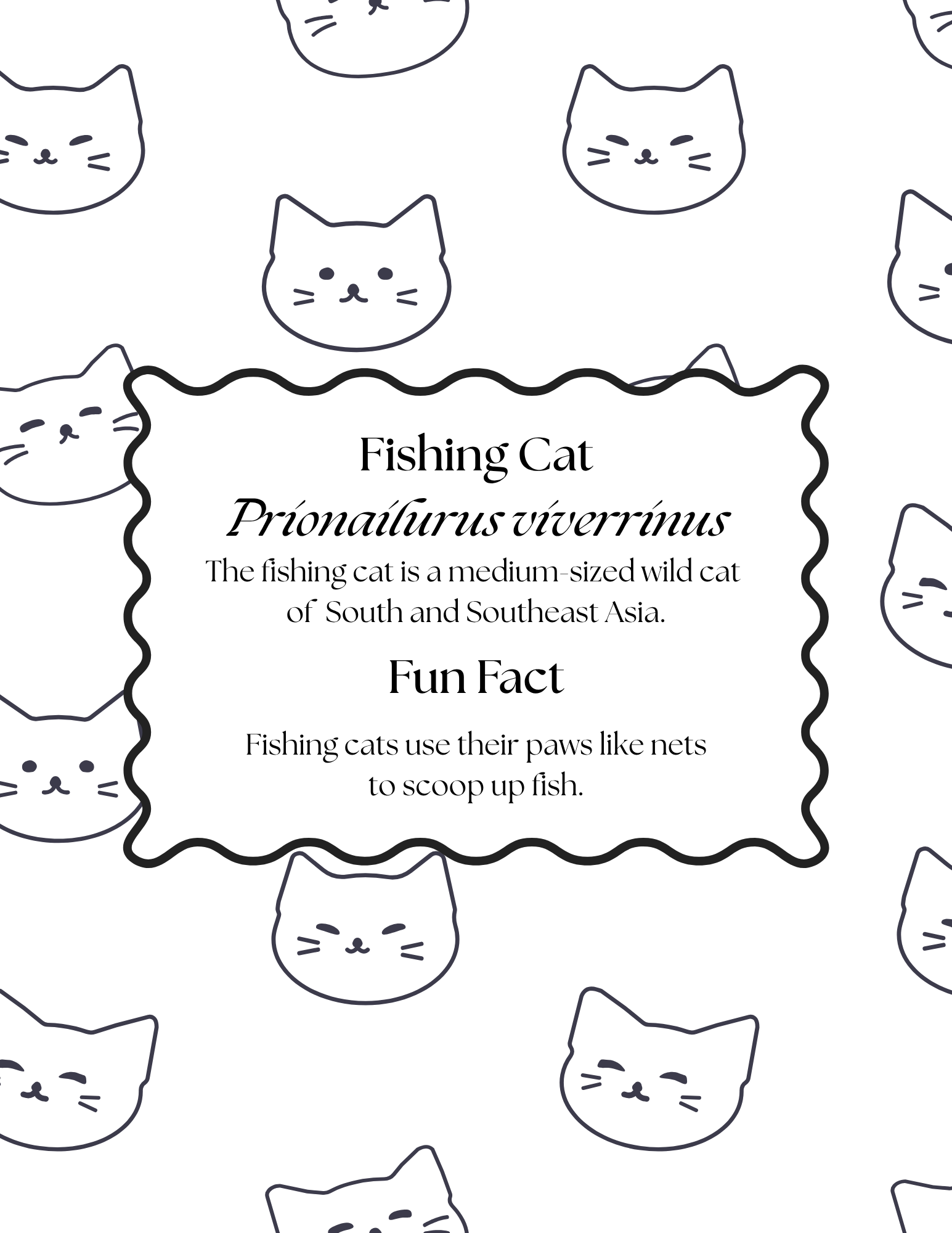 Fishing cat information and fun fact page