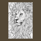 male african lion portrait coloring page