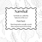 A black and white educational poster about narwhals, featuring a central text box with a scalloped border and surrounding line-art illustrations of seashells and leaves.