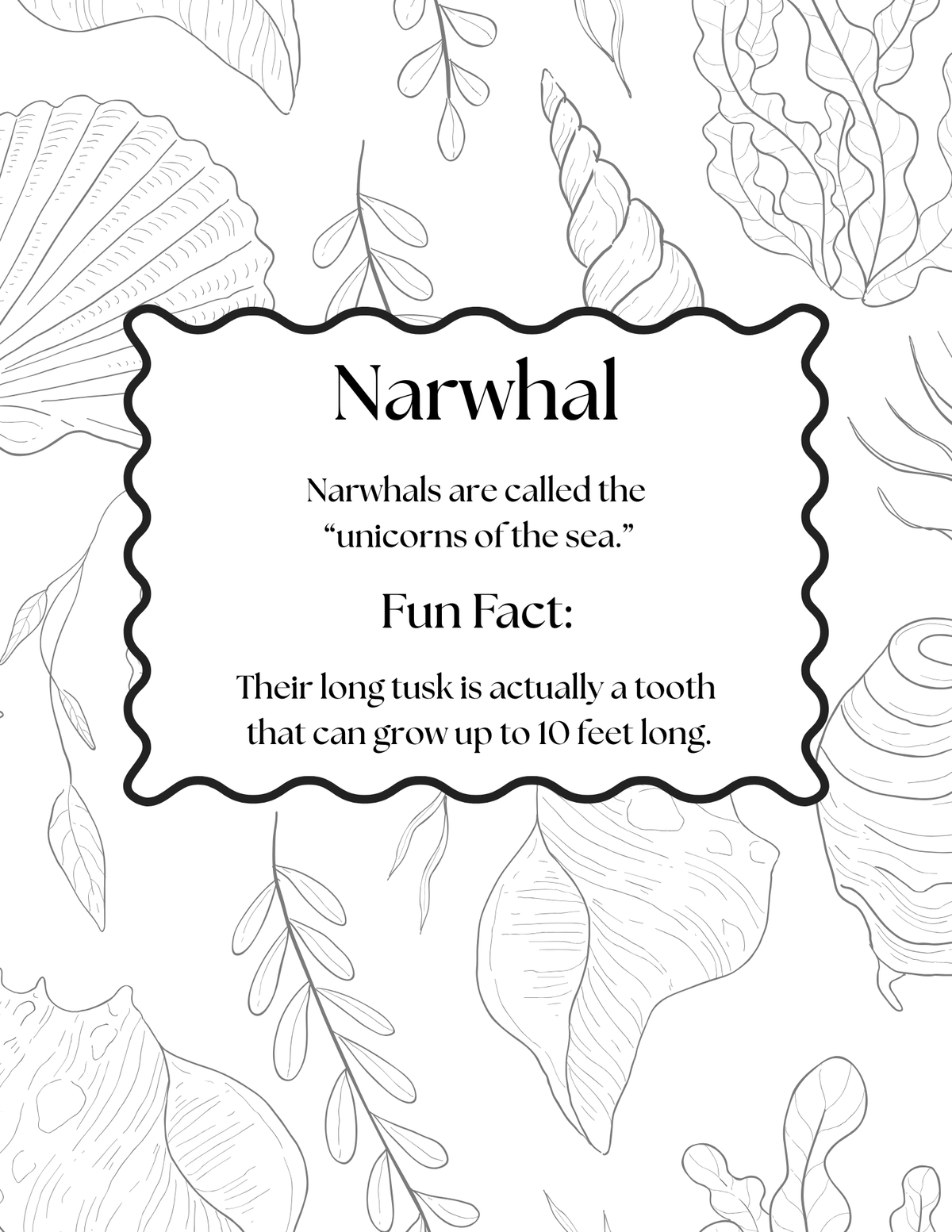 A black and white educational poster about narwhals, featuring a central text box with a scalloped border and surrounding line-art illustrations of seashells and leaves.