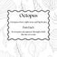 A black and white educational poster about octopuses, featuring a central scalloped text box with facts and a botanical line-art background.