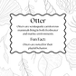 A black and white educational poster about an otter, featuring a central text box with a wavy border and marine plant illustrations around the edges.