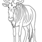 Big African Animals Coloring Book for Kids