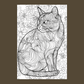 Cat Patterns Coloring Book
