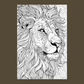 mandala style african lion coloring page