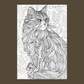 Cat Patterns Coloring Book