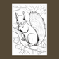 Black and white illustration of a squirrel on a branch with leaves.