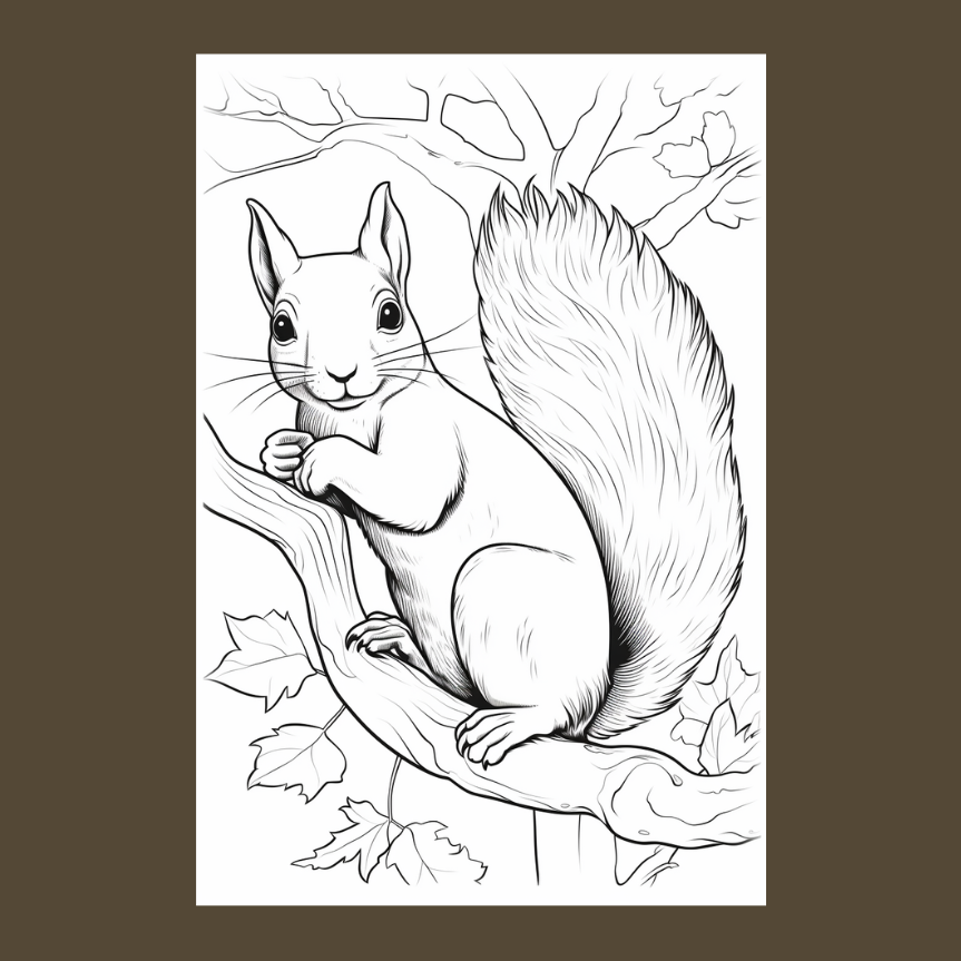 Black and white illustration of a squirrel on a branch with leaves.