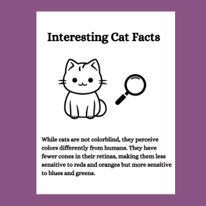Crystal Ball Cat Coloring Book-Guiding You Through All Nine Lives