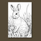wild rabbit coloring page